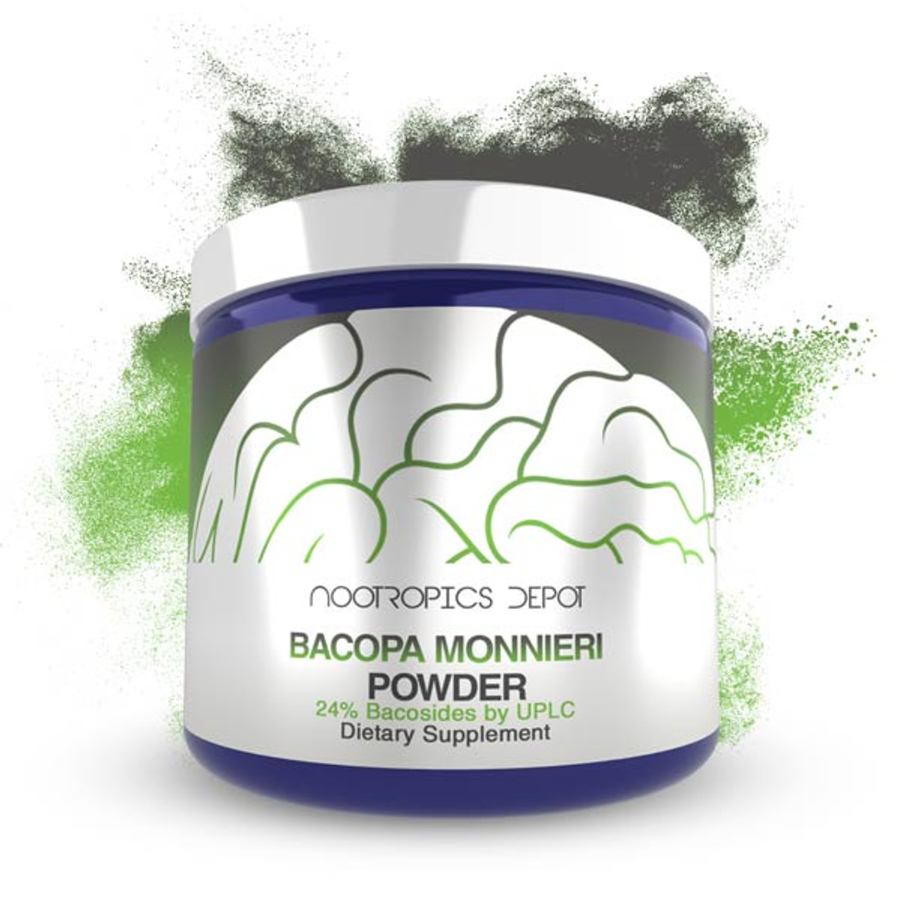 Bacopa Monnieri — Long-Term Memory